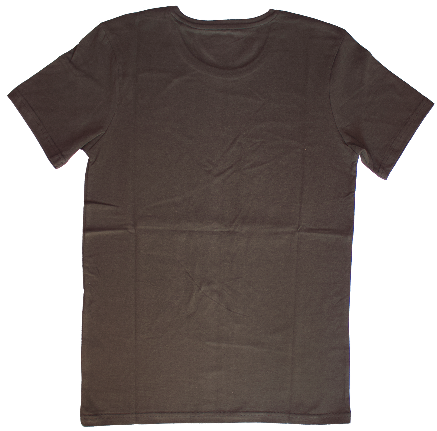 Olive Green “Praise him with the strings” unisex Christian t-shirt