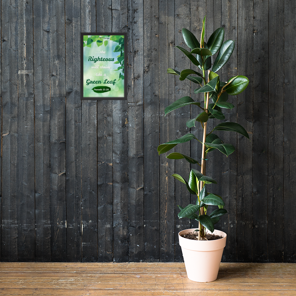 Righteous will thrive like a Green Leaf - Framed Poster (12 X 18 inches)