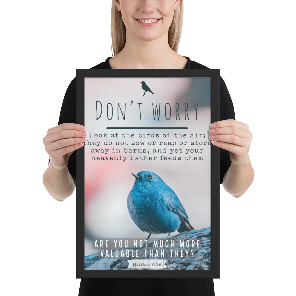 "Do not worry - Mat 6:26" Christian Frame (11.7 X 16.5 inches)